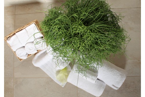 10er-Set – Gesichtshandtuch aus 100 % ägyptischer Baumwolle – 33 x 33 cm