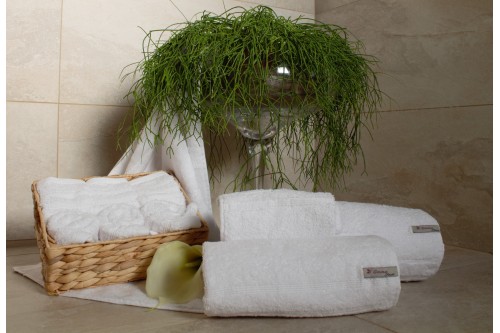 Scatola da 96 pezzi- Asciugamano viso 100% cotone egiziano - 33x33 cm
