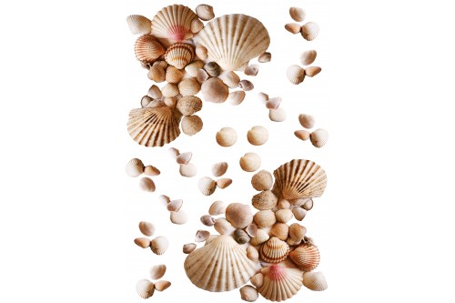 Adesivo decorativo - Conchiglie