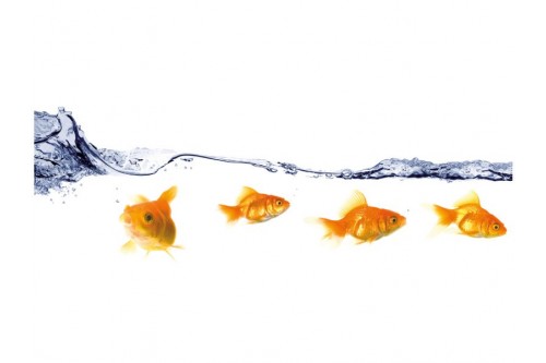 Decorative sticker - Underwater